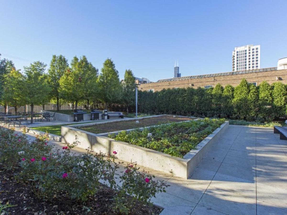 Apartment South Loop 2br W Rooftop 3 Blocks To Grant Park Chi-1018 *