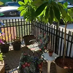 Wrigleyville Oasis