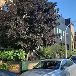 Wrigleyville Oasis