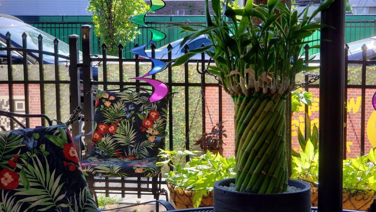 Wrigleyville Oasis Apartment