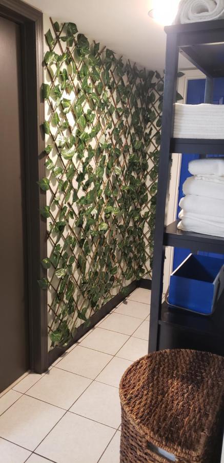 Apartment Wrigleyville Oasis