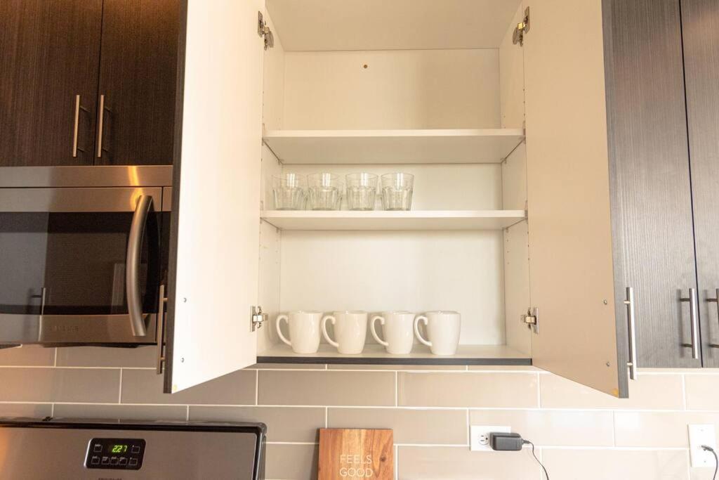 Mccormick Place Downtown: Luxurious 3br/2ba For 10 Chicago