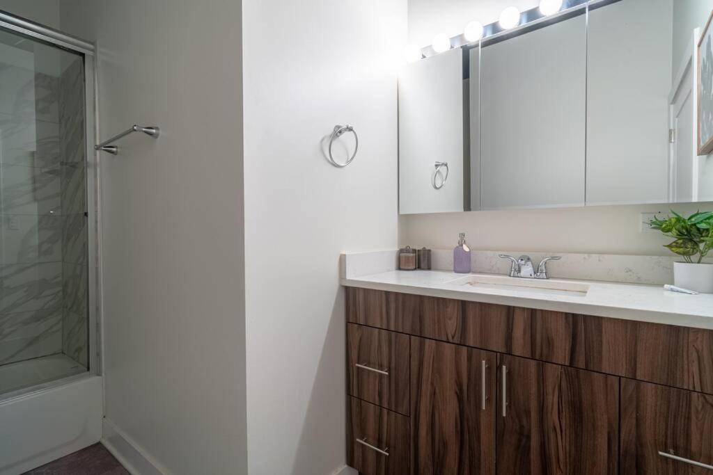 Mccormick Place Downtown: Luxurious 3br/2ba For 10 Chicago