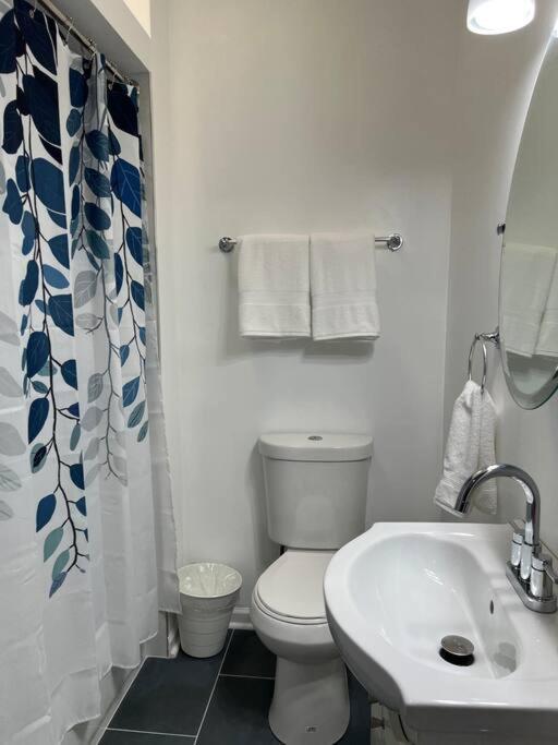 Apartment Adorable 2 Bedroom With Free Street Parking *