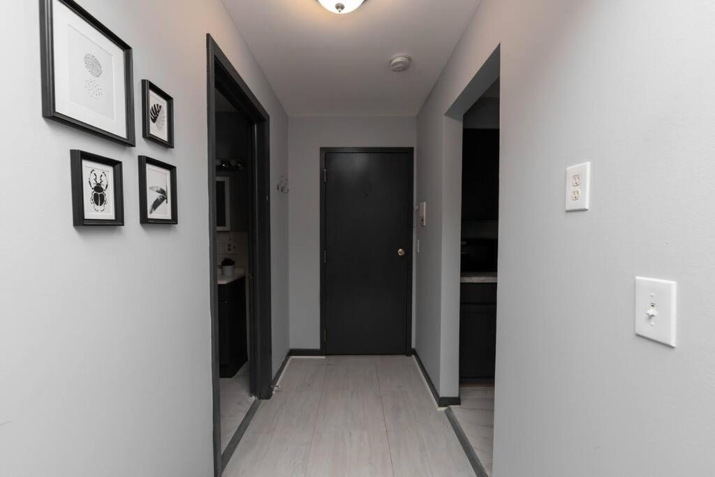 Discover North Side From Modern Apartment Chicago