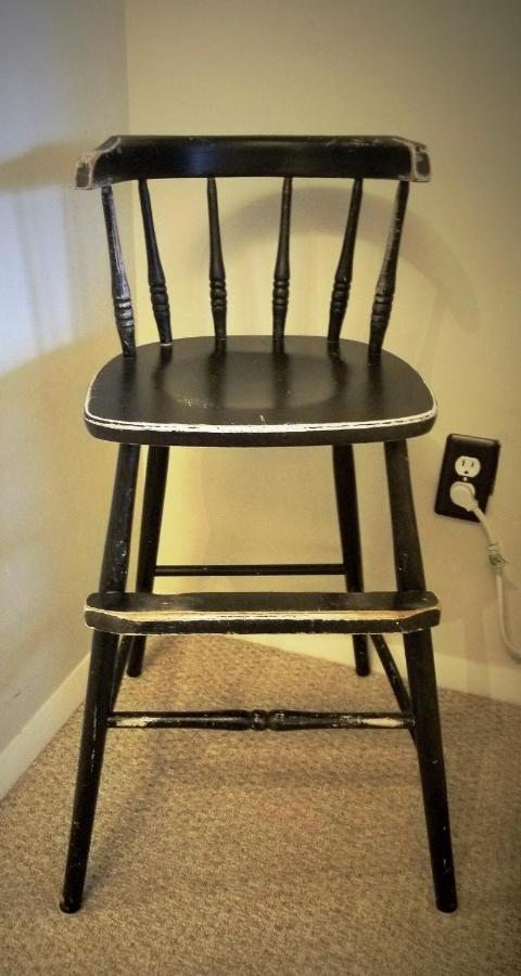 Well-appointed Cozy Portage Park Apt, Dogs, Kids, Free Parking, 420 Compliant