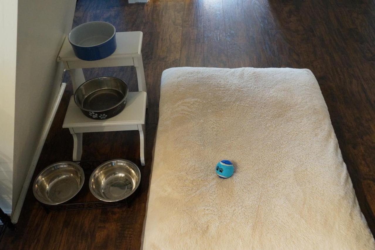 Apartment Well-appointed Cozy Portage Park Apt, Dogs, Kids, Free Parking, 420 Compliant Chicago
