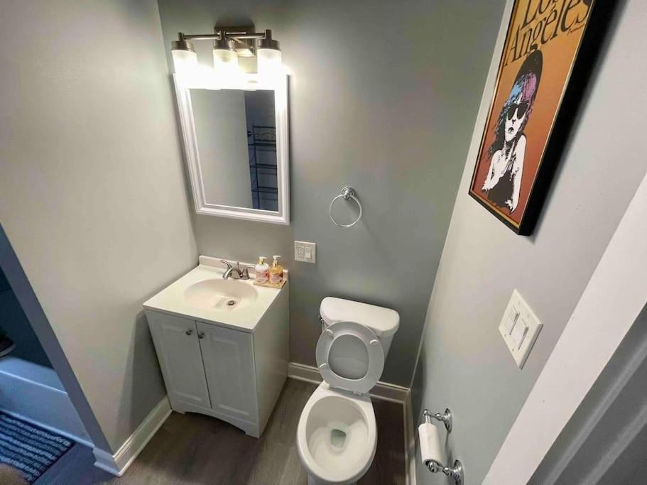 Cozy Luxury Apt~ Near Uchicago/hydepark/lakeshore Apartment *