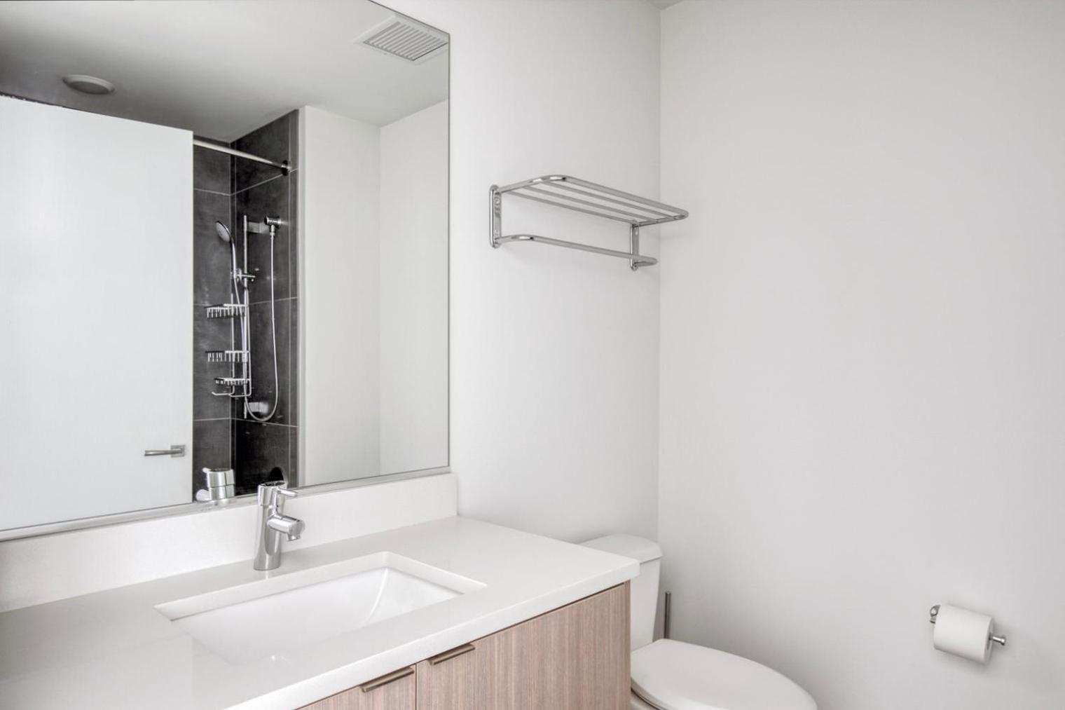 South Loop W Pool Gym Nr Grant Park Chi-856 *