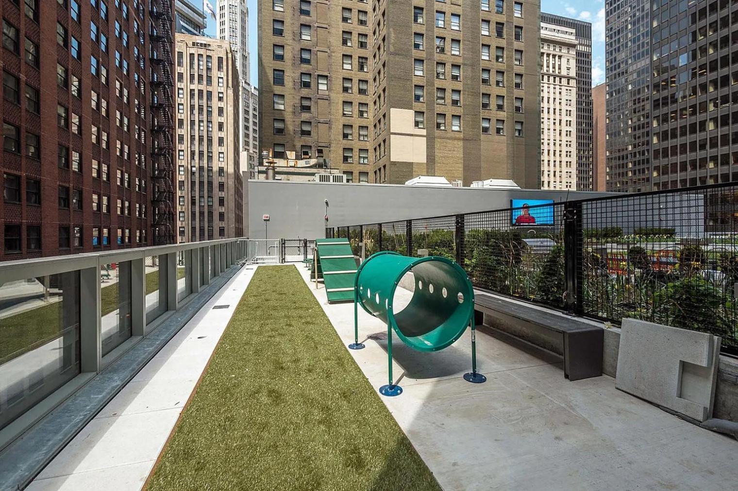 Loop W Roof Deck Nr Michigan Ave Chi-1014 Apartment