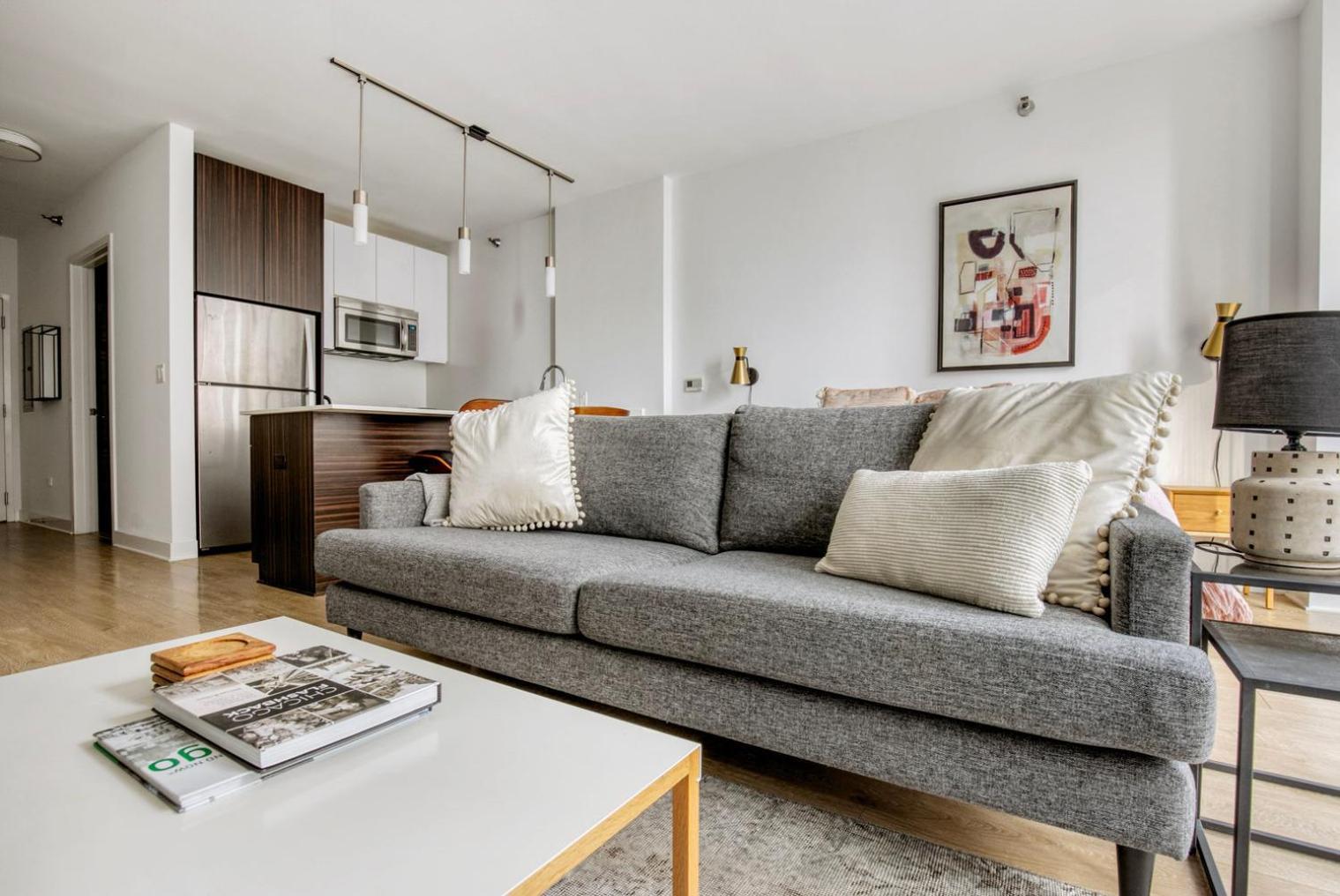 Loop W Roof Deck Nr Michigan Ave Chi-1014 Apartment *