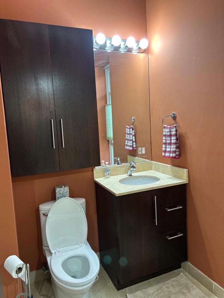 Gorgeous North Kenwood Hyde Park Unit Apartment Chicago