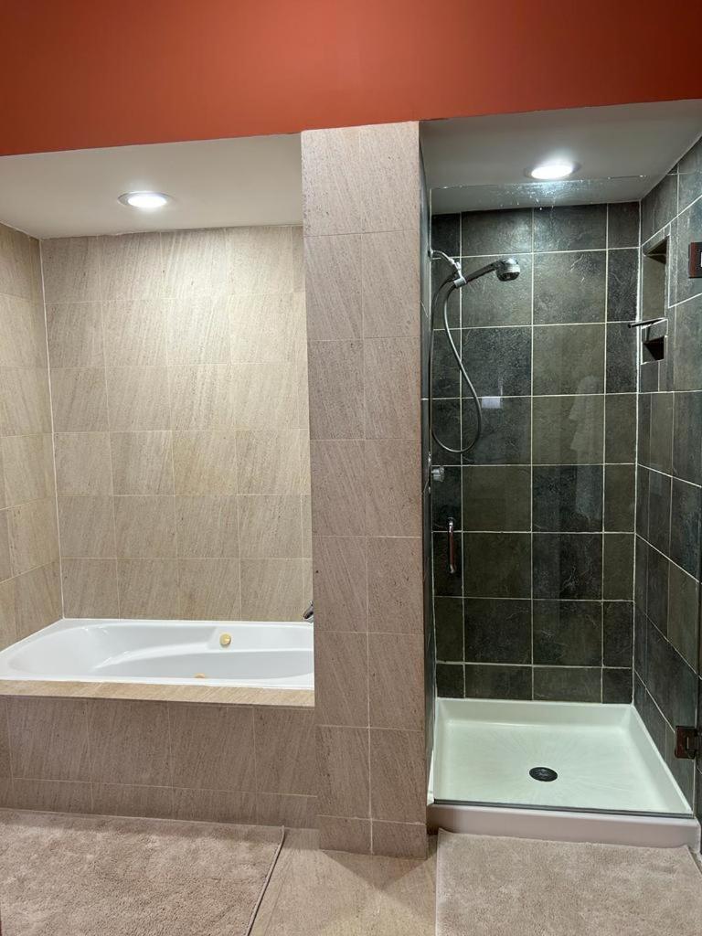 Gorgeous North Kenwood Hyde Park Unit * Chicago