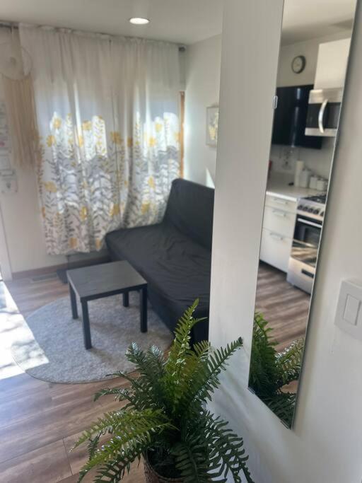 1 Bedroom Easyparking Laundry