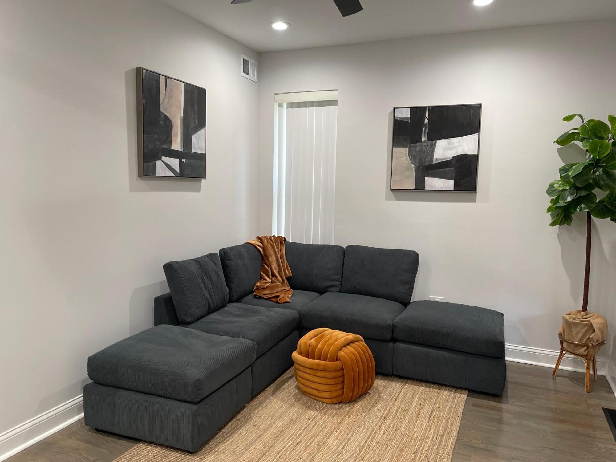 Apartment Mixed Rustic Vibes Chicago