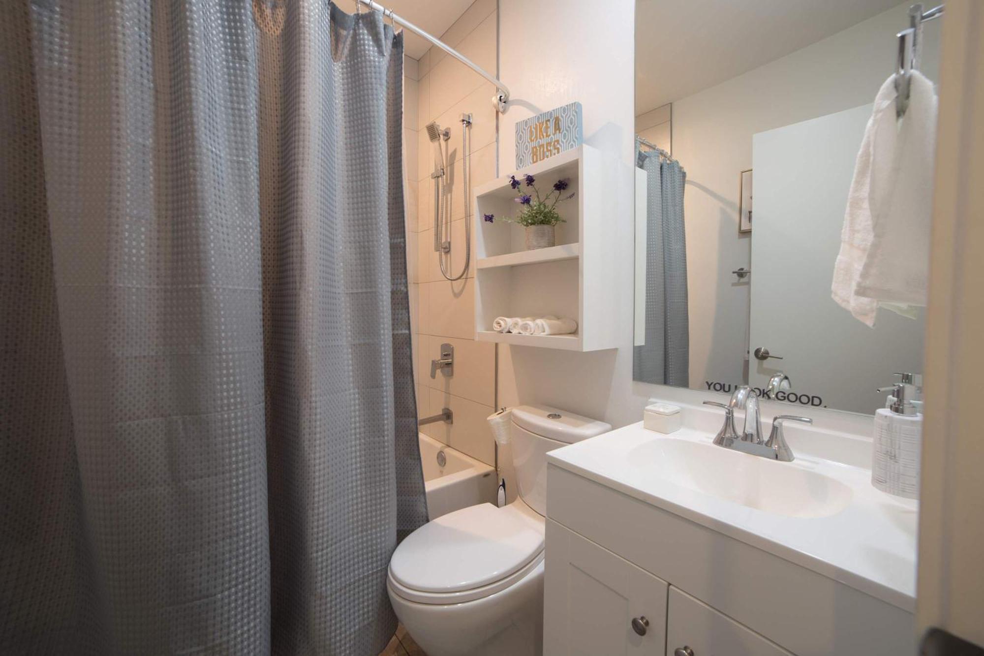 Large 4-bedroom Upscale W Rooftop Apartment Chicago