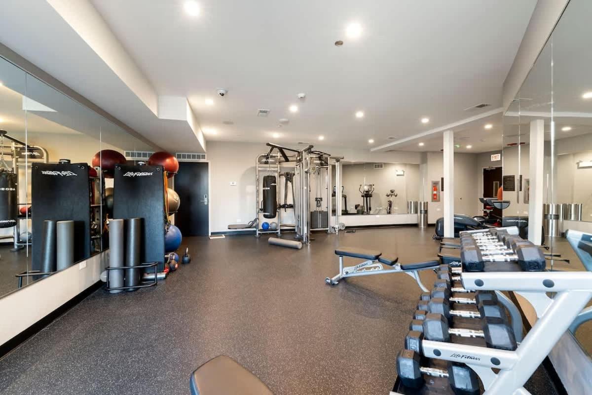 Luxury 2bd-2ba View-gym-rooftop Apartment Chicago