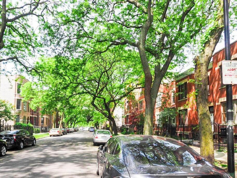 Spacious & Stylish At The Heart Of Wicker Park Chicago