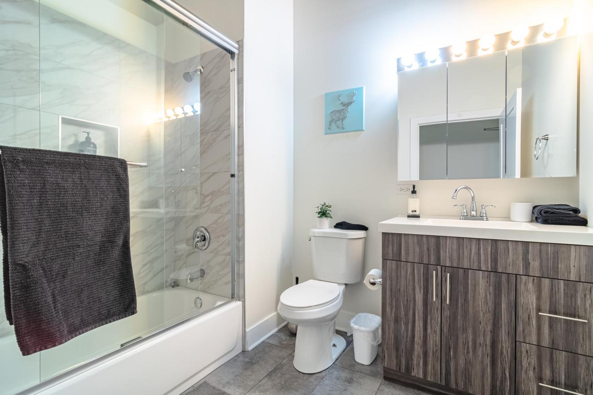 Mccormick Place Modern Loft With An Amazing Skyline View And Optional Parking For 8 Guests