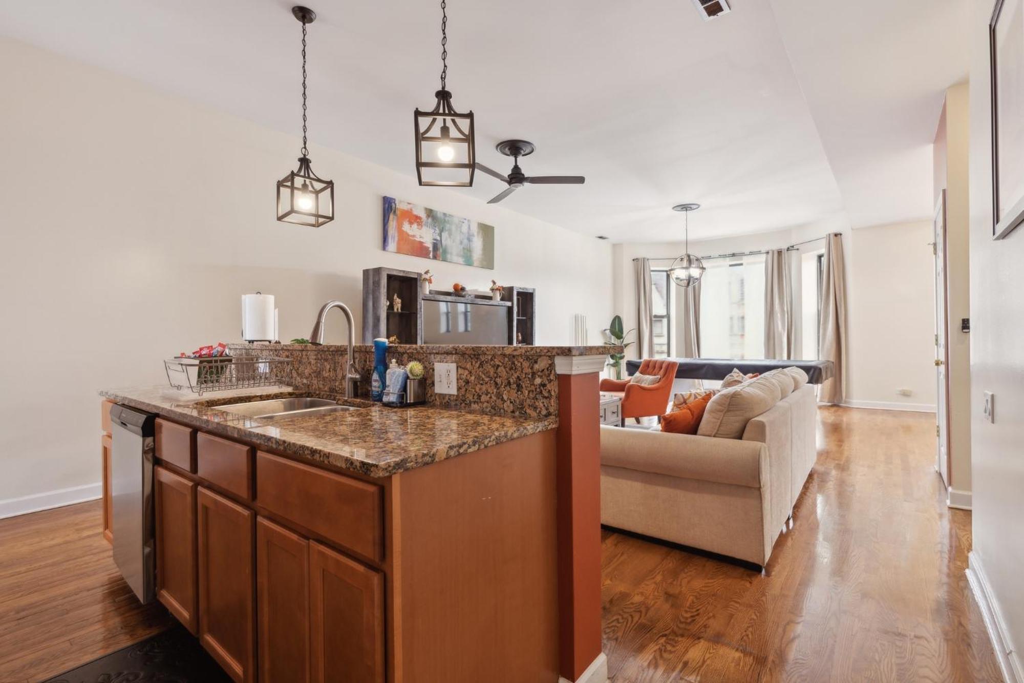 Near Downtown & Uchicago Apartment