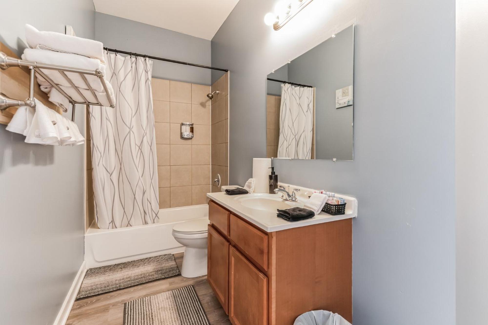 Near Downtown & Uchicago Apartment Chicago