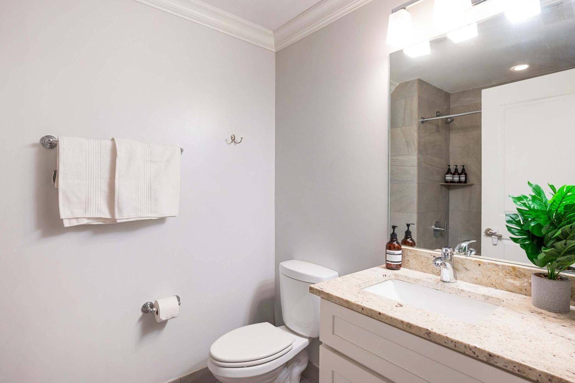 Apartment 1 Free Parking Gym Balcony Sleeps 12 Chicago